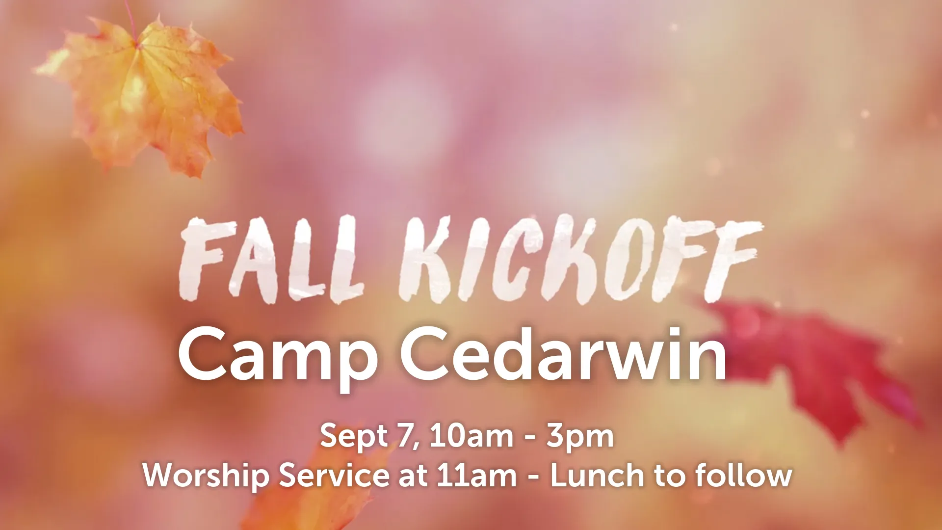 Camp Cedarwin.